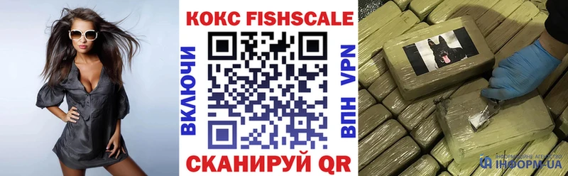КОКАИН Fish Scale  Купить  Лаишево 