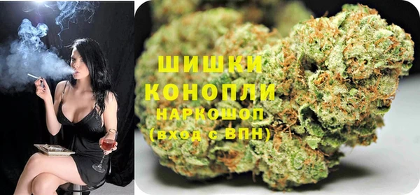 бошки Белокуриха