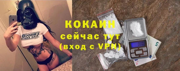 бошки Белокуриха