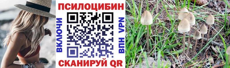 Галлюциногенные грибы Psilocybine cubensis  Купить закладки  Лаишево 